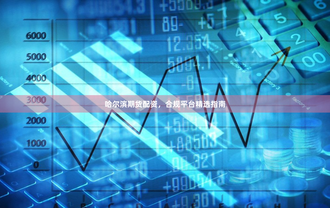 哈尔滨期货配资，合规平台精选指南
