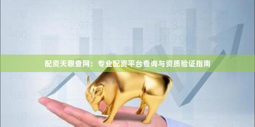 配资天眼查网：专业配资平台查询与资质验证指南